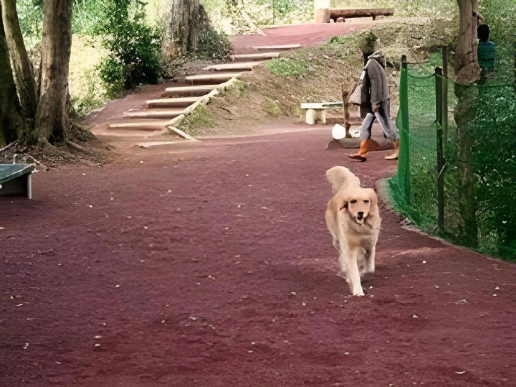 ホテル 四季の蔵 河津町 エクステリア 写真