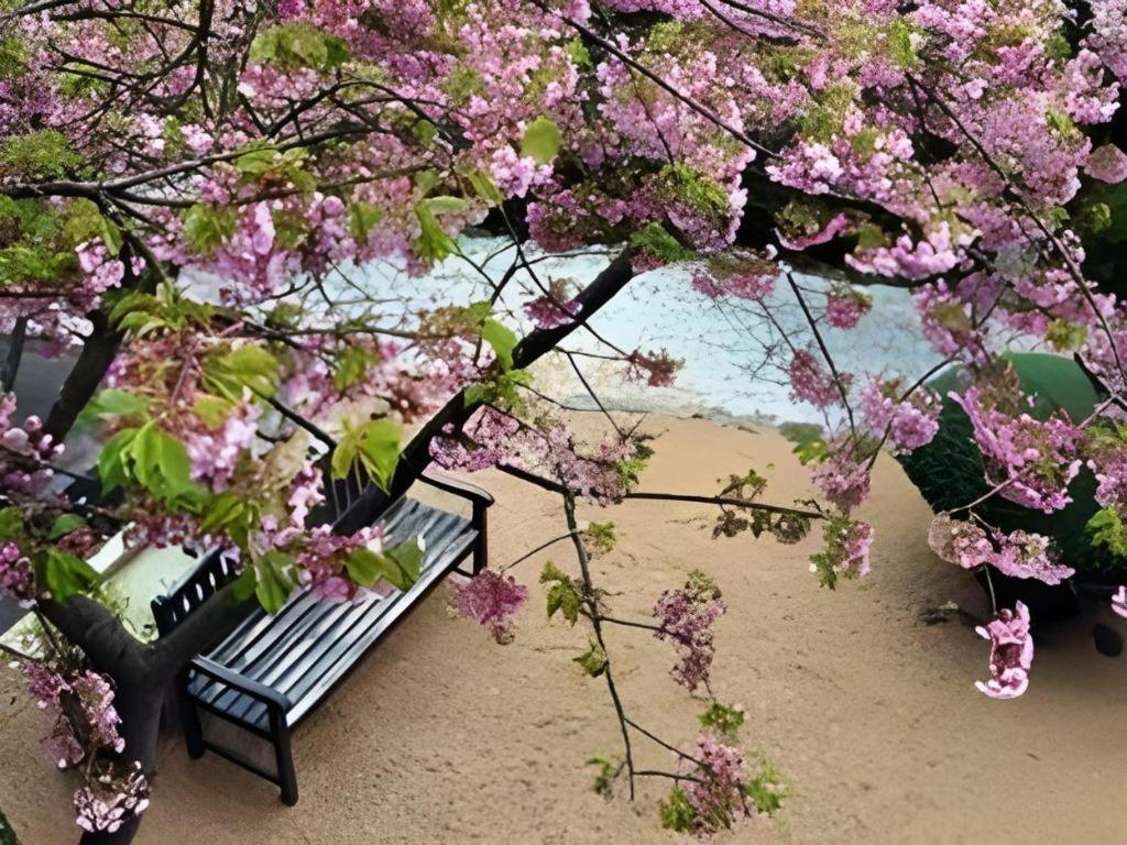 ホテル 四季の蔵 河津町 エクステリア 写真